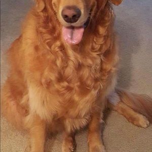 Meet your Posher, Kalen